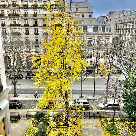 Avenue Montaigne Bienvenue