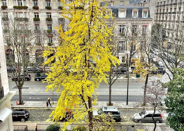 Avenue Montaigne Bienvenue